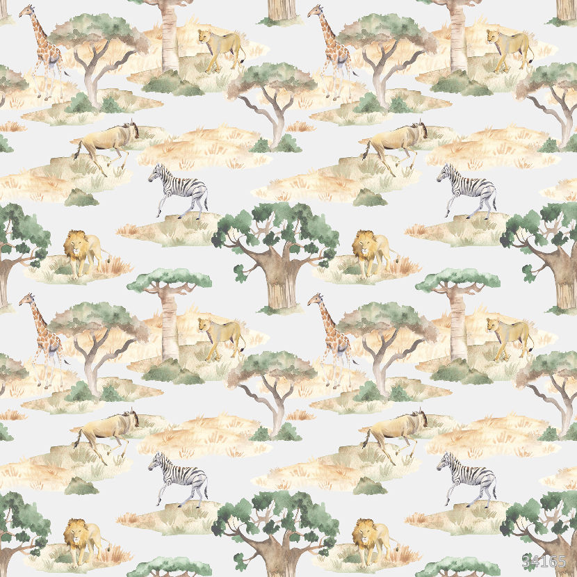 Africa