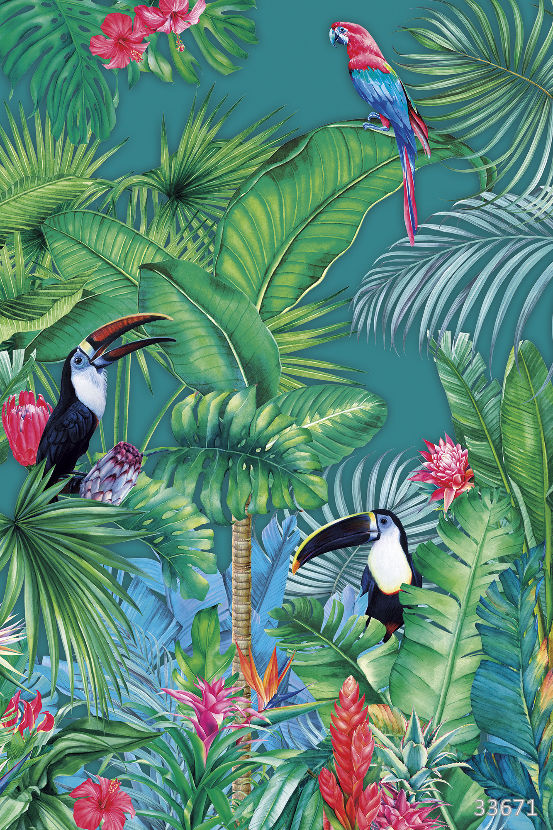 Amazonia