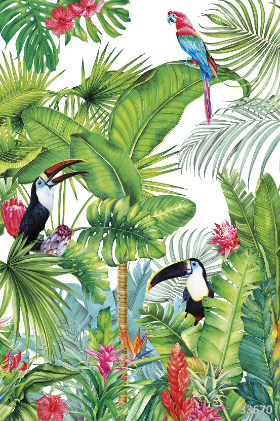 Amazonia
