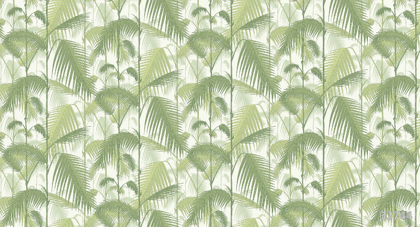 Bamboo
