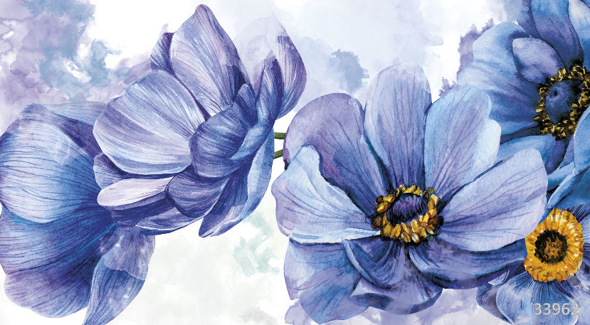 Blue anemones