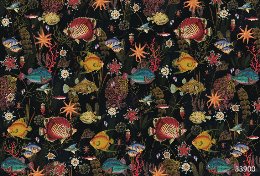 Coral reef 1
