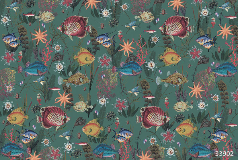 Coral reef 3