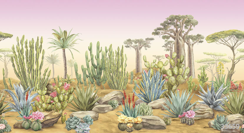 Desert flora sunset