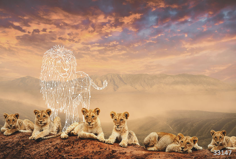 Family of lions