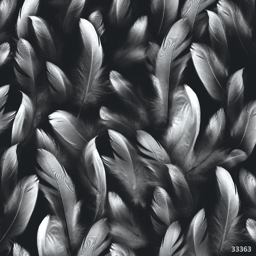 Feather dark