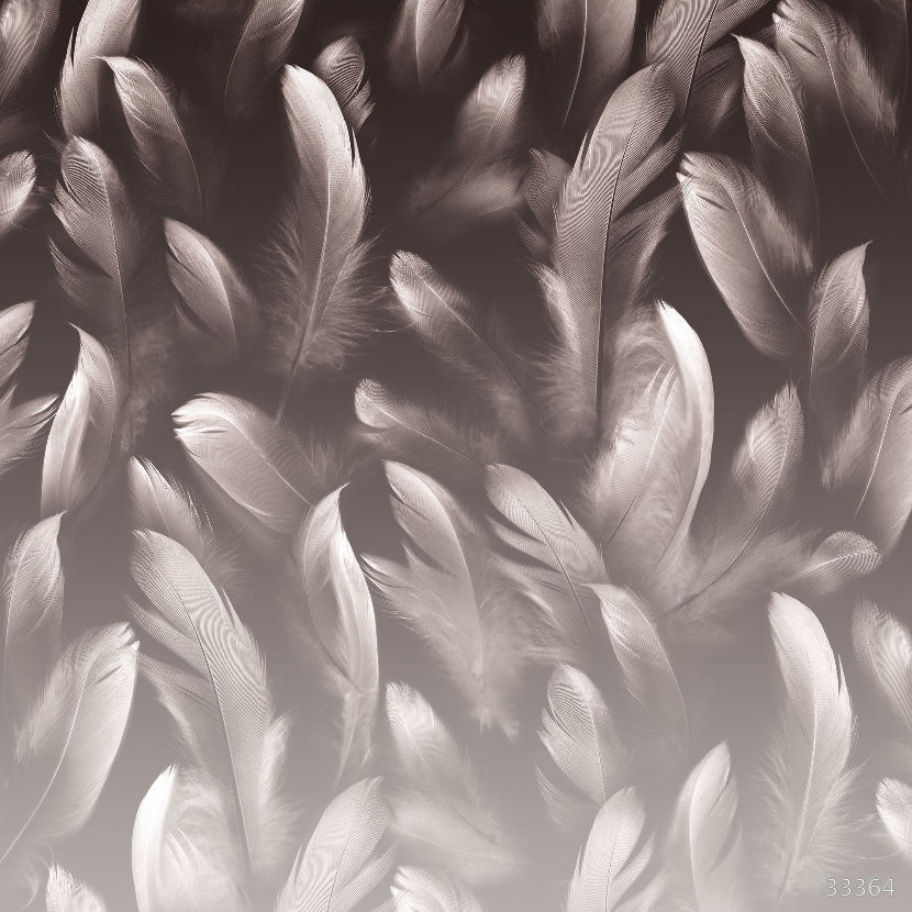 Feather