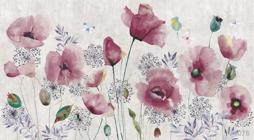 Flower poppy