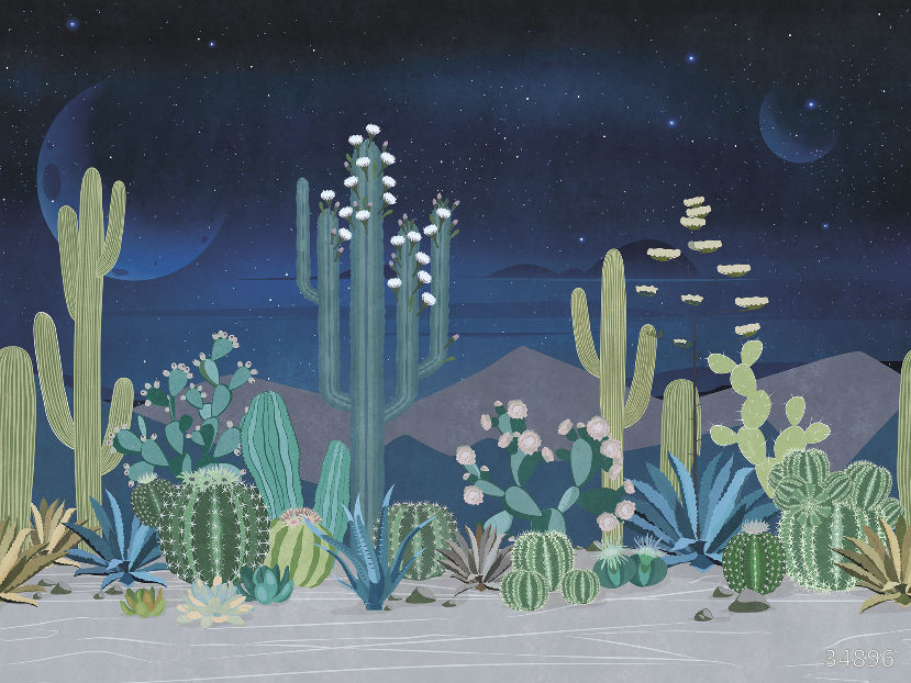 Flowering cacti