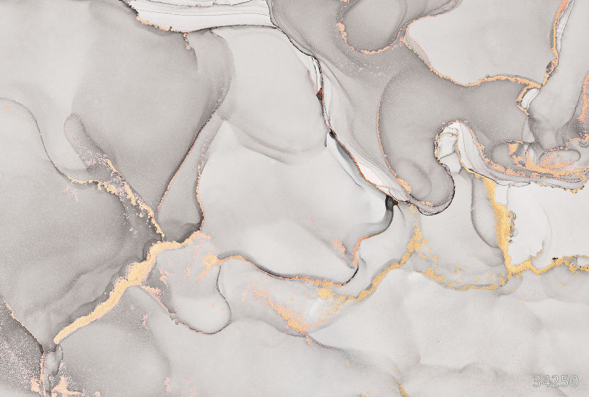 Fluid 6