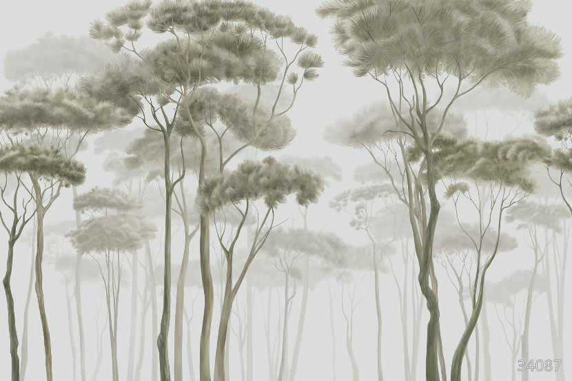Fog in the forest