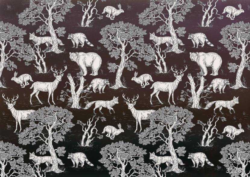 Forest animals dark