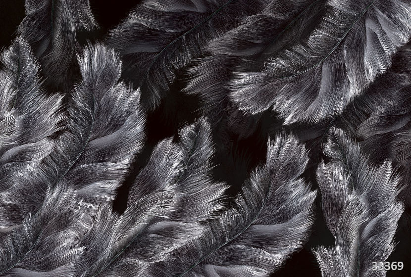 Fuzz dark