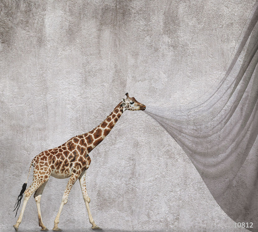 Illusion 10812
