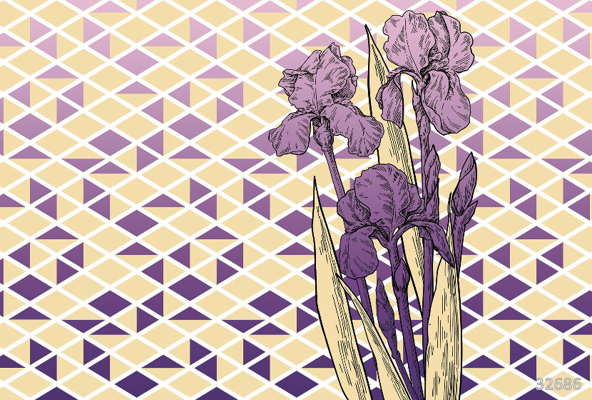 Iris purple