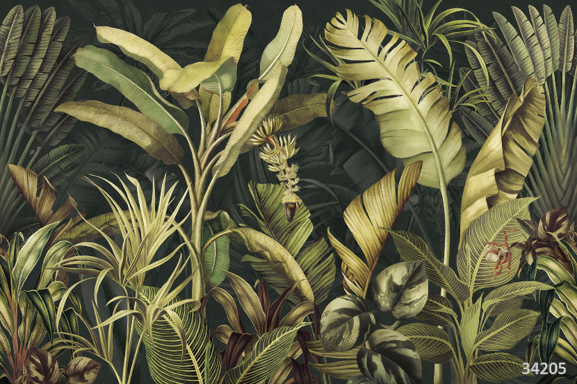 Jungle dark
