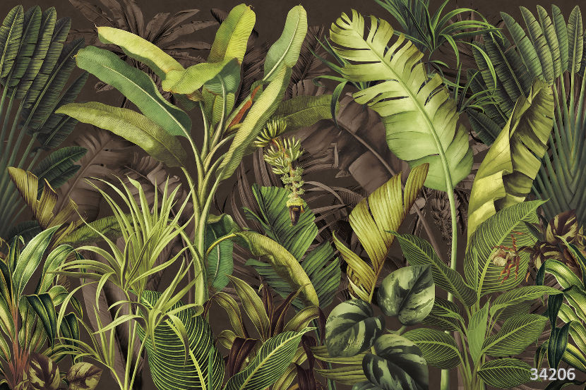 Jungle