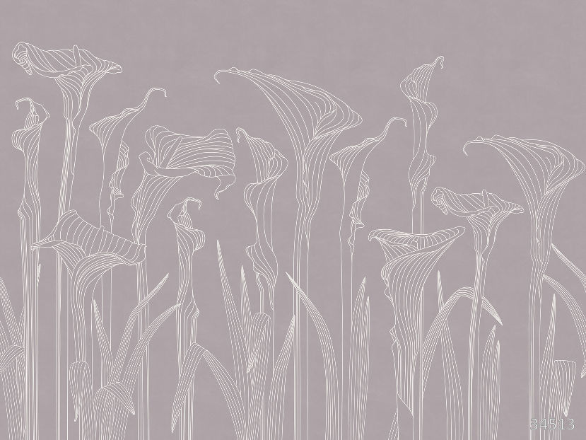 Kalla lilies