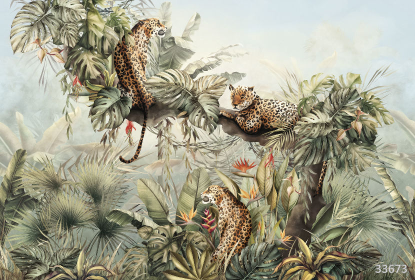 Leopards