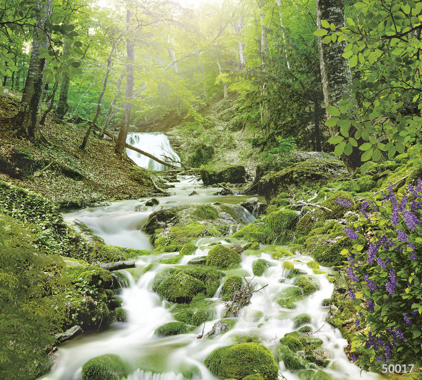 Лесной водопад