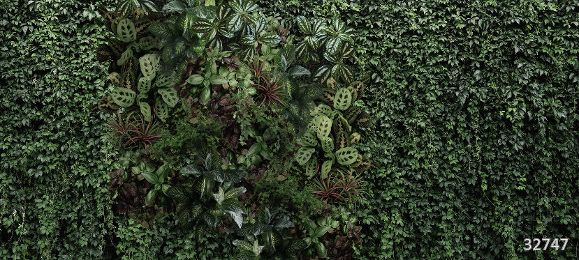 Living wall