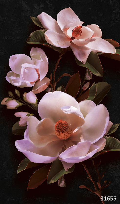 Magnolia macro pink