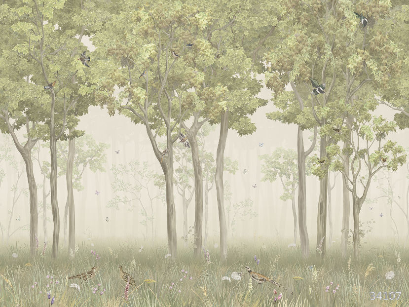 Misty grove