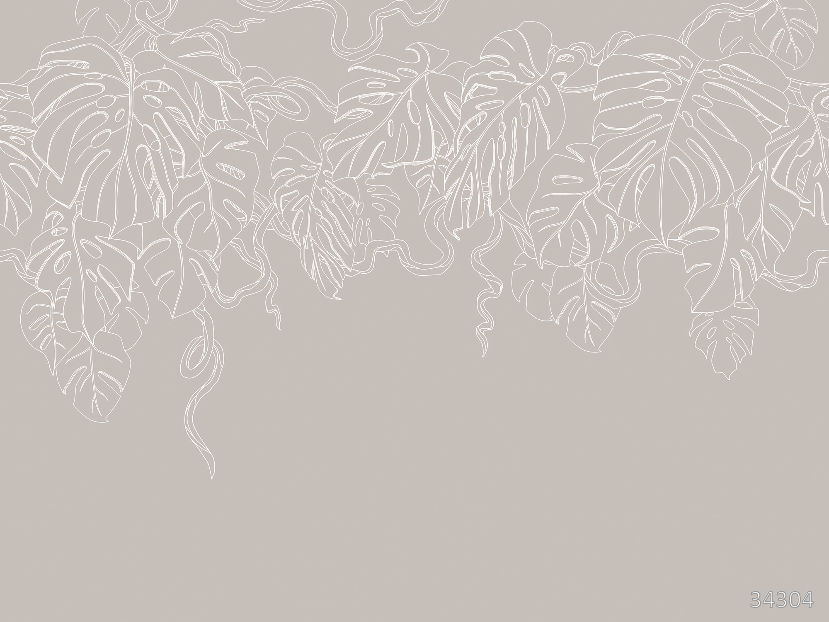 Monstera powdery