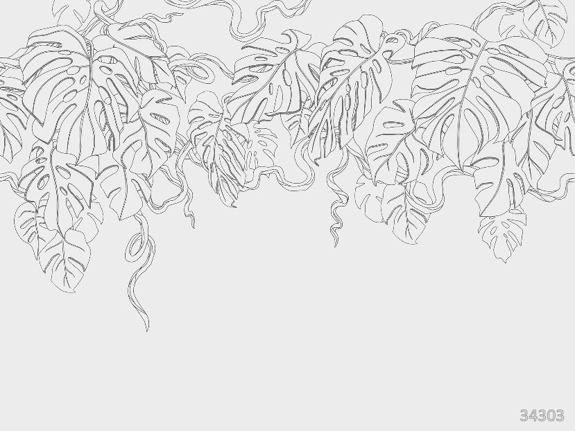 Monstera white