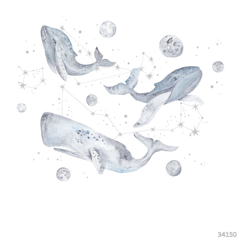 Moon whales