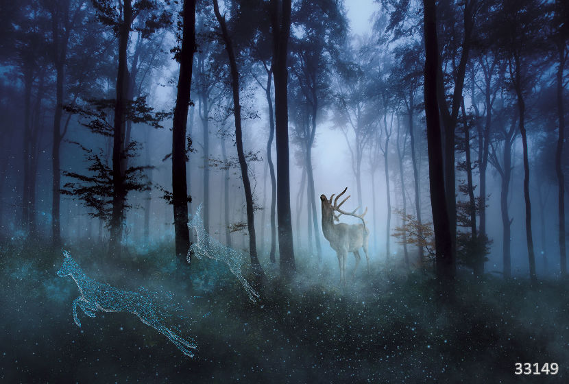 Mysterious forest