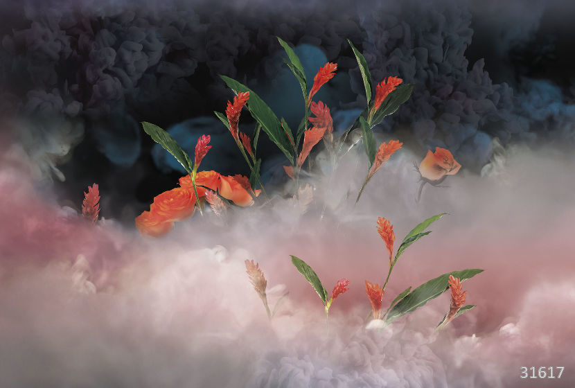 Mystery in the fog