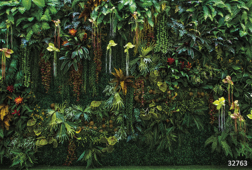 Oasis