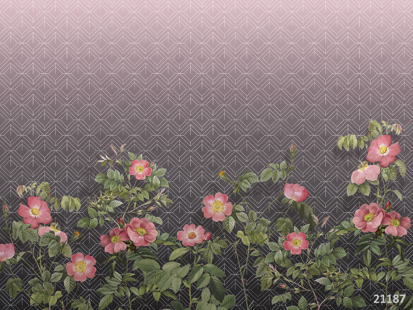 Pink flowers