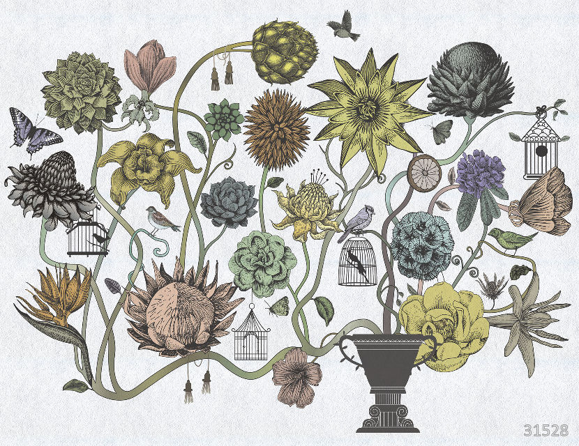 Plants