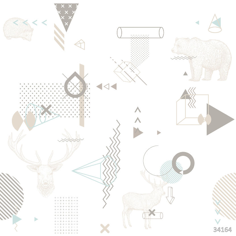 Scandi geometry