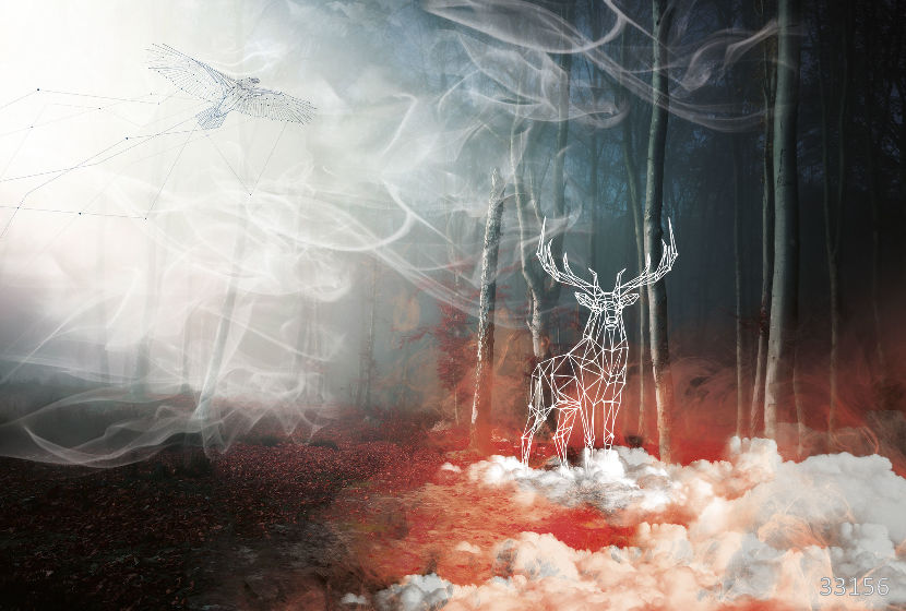 Soul of the forest