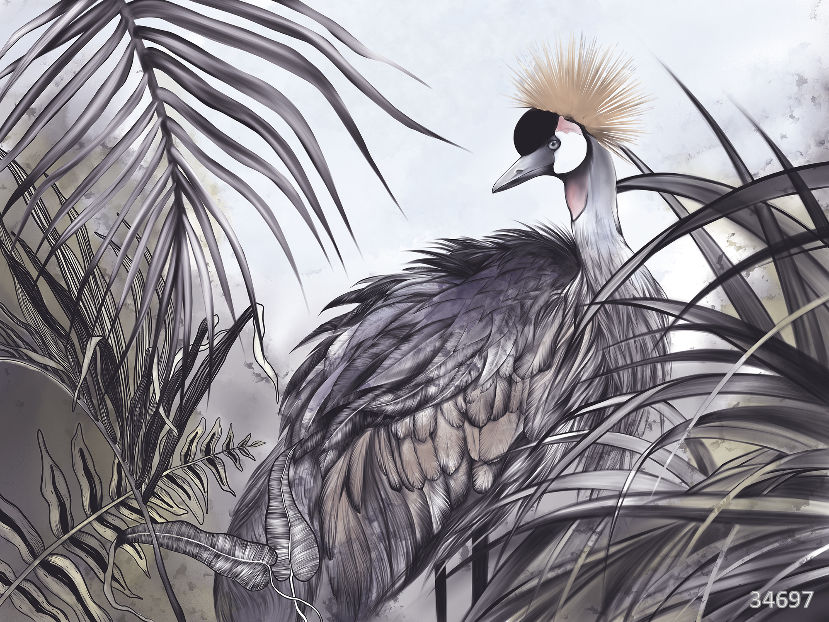 Stork in the jungle