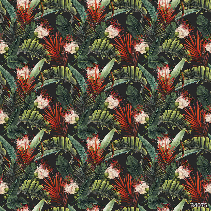 Tropical flowers