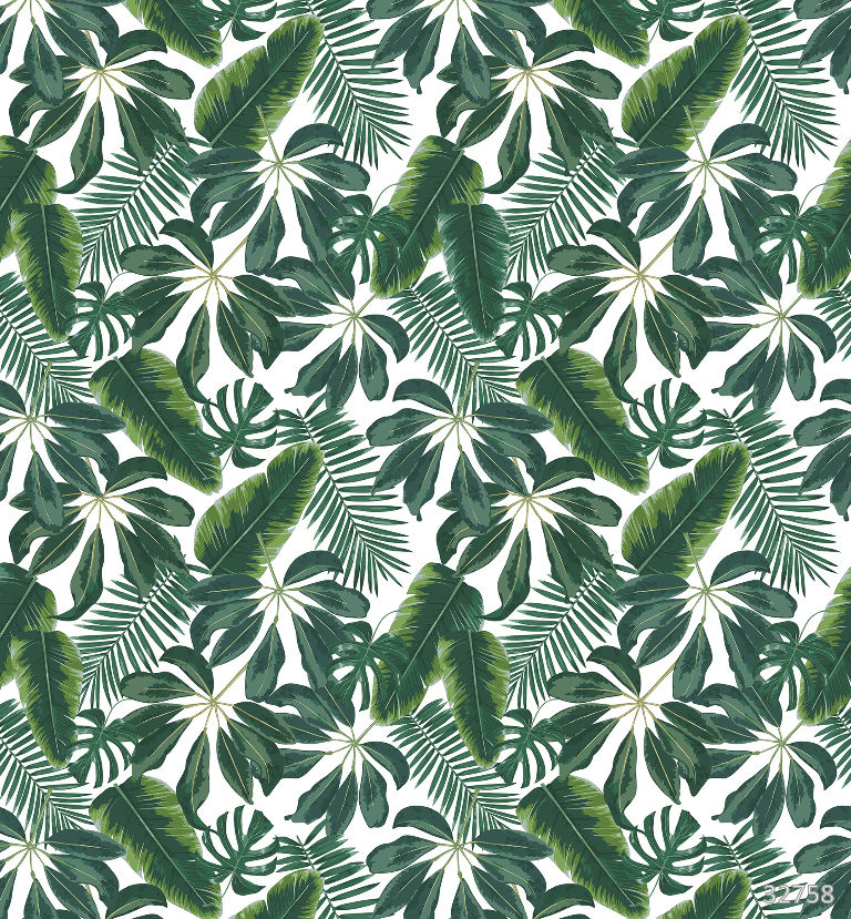 Tropical mix 1