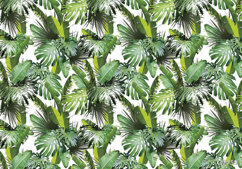 Tropical mix 2