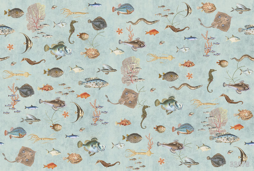 Undersea world 1