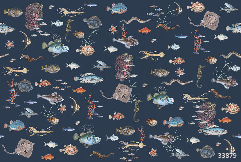 Undersea world 2