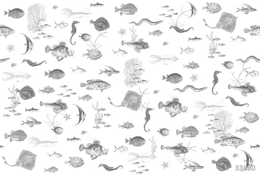 Undersea world 3