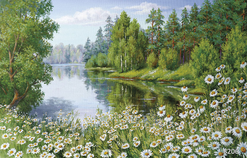 В ромашковом краю
