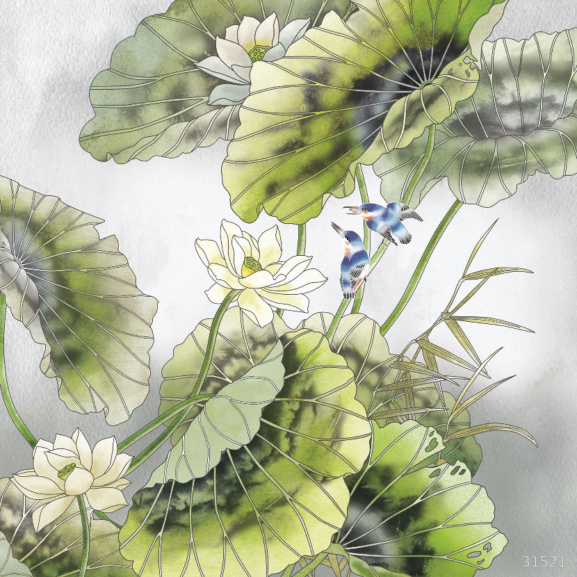 Water plants