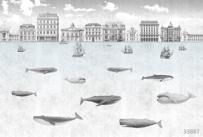 Whales 1