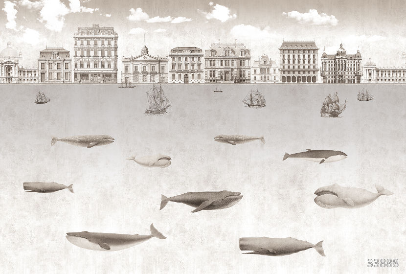 Whales 2