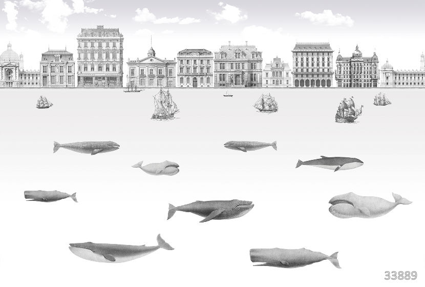 Whales 3