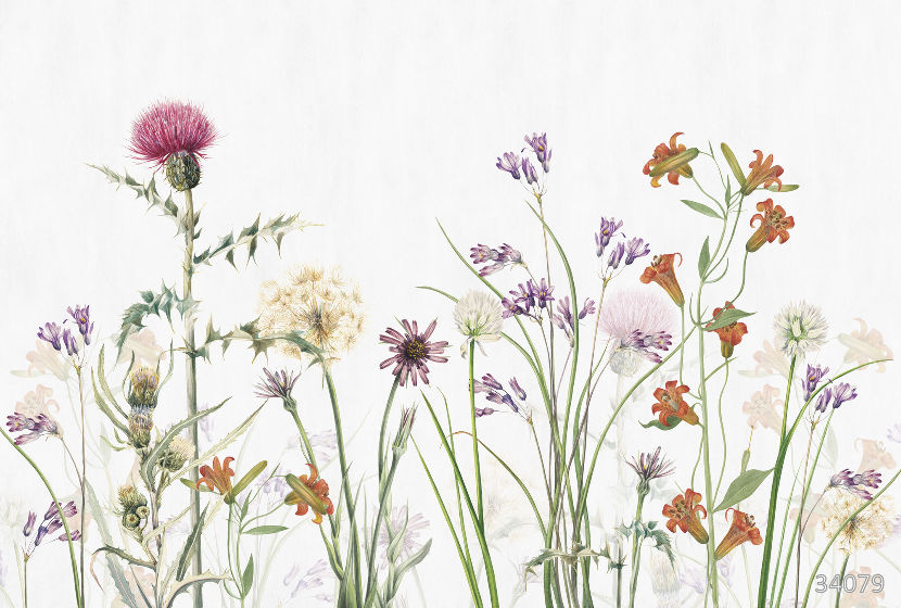 Wildflowers